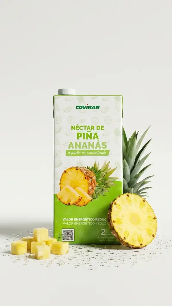 Néctar de Piña Ananas 2 L